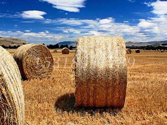 農場用牧草網捆草網秸稈打捆網