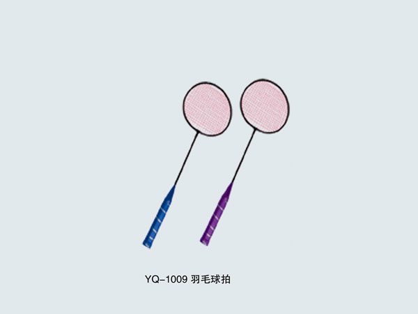  YQ-1009 羽毛球拍
